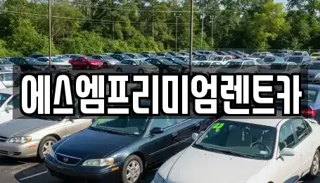 경기 수원시 권선구 오목천동 단기렌트카 전문 에스엠프리미엄렌트카
