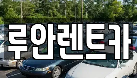 경기 수원시 권선구 오목천동 장기렌트카 전문 루안렌트카