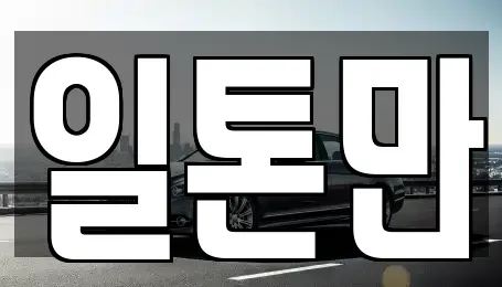 경기 수원시 권선구 오목천동 중고차매매 전문 일톤만