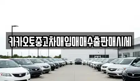 경기 수원시 권선구 오목천동 중고차매입 전문 카카오토중고차매입매매수출판매시세