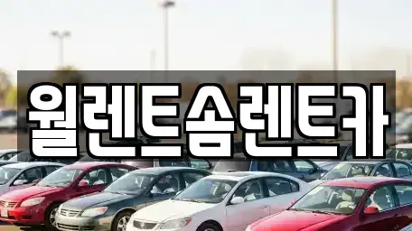 경기 수원시 팔달구 교동 렌트카 전문 월렌트솜렌트카