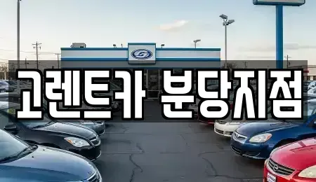 경기 수원시 팔달구 교동 장기렌트카 전문 고렌트카 분당지점