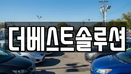 경기 수원시 팔달구 교동 장기렌트카 전문 더베스트솔루션