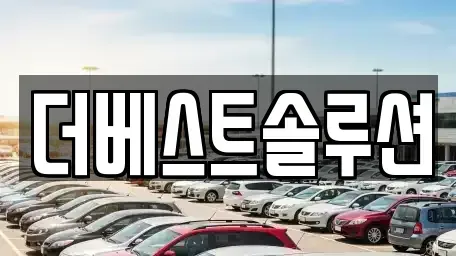 경기 수원시 팔달구 중동 장기렌트카 전문 더베스트솔루션