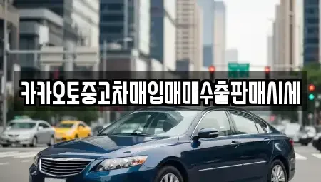 경기 수원시 팔달구 중동 중고차 전문 카카오토중고차매입매매수출판매시세