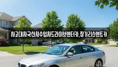 경기 시흥시 무지내동 렌트카 전문 사고대차국산차수입차드라이브렌터카,장기리스렌트카
