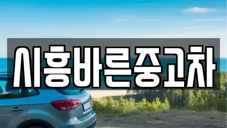 경기 시흥시 월곶동 중고차 전문 시흥바른중고차