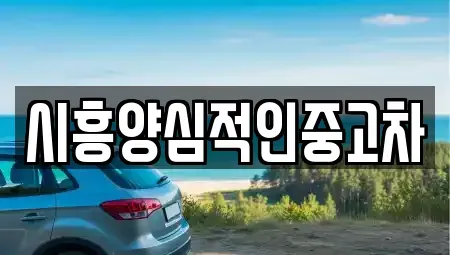 경기 시흥시 월곶동 중고차 전문 시흥양심적인중고차