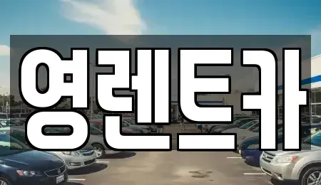 경기 안산시 상록구 사동 렌트카 전문 영렌트카
