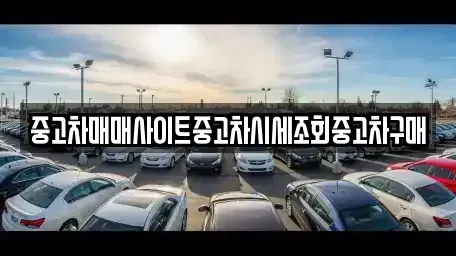 경기 안산시 상록구 사동 중고차 전문 중고차매매사이트중고차시세조회중고차구매