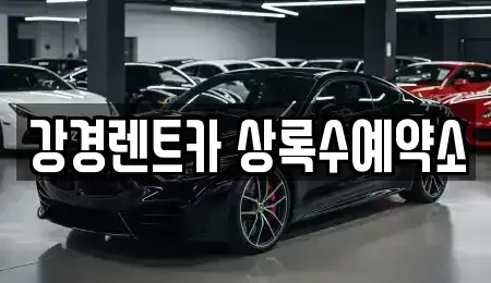 경기 안산시 상록구 팔곡이동 렌트카 전문 강경렌트카 상록수예약소