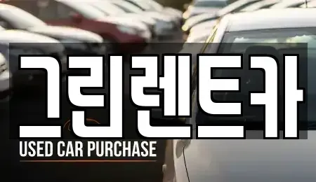 경기 안산시 상록구 팔곡이동 렌트카 전문 그린렌트카