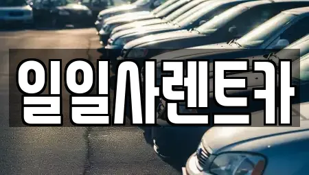 경기 안산시 상록구 팔곡이동 렌트카 전문 일일사렌트카