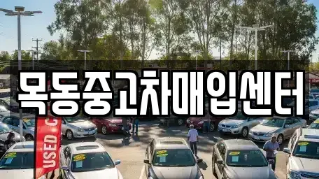 경기 안산시 상록구 팔곡이동 중고차 전문 목동중고차매입센터