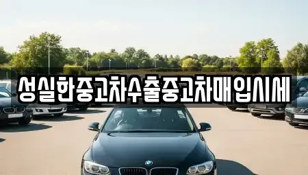 경기 안산시 상록구 팔곡이동 중고차매입 전문 성실한중고차수출중고차매입시세