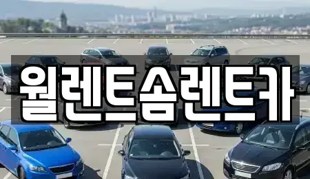 경기 안성시 당왕동 렌트카,단기렌트카,장기렌트카,중고차,중고차매매,중고차매입