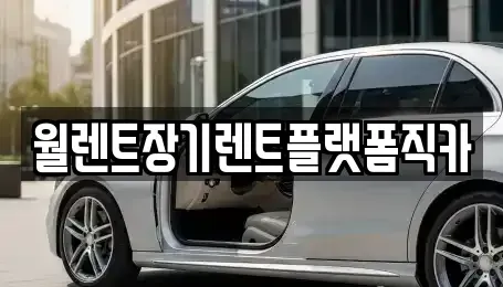 경기 안성시 당왕동 장기렌트카 전문 월렌트장기렌트플랫폼직카