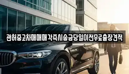 경기 양주시 남면 중고차 전문 관허중고차매매매각즉시송금당일이전무료출장견적