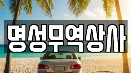 경기 양주시 남면 중고차,렌트카,중고차매입,중고차매매,장기렌트카,단기렌트카