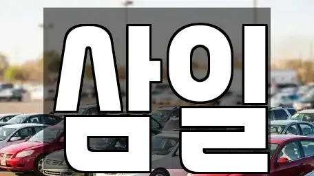 경기 여주시 북내면 중고차 전문 삼일