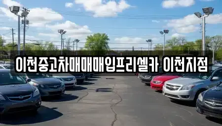 경기 여주시 흥천면 중고차매매 전문 이천중고차매매매입프리셀카 이천지점