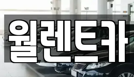 경기 오산시 두곡동 렌트카 전문 월렌트카