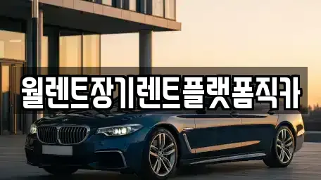 경기 오산시 두곡동 장기렌트카 전문 월렌트장기렌트플랫폼직카