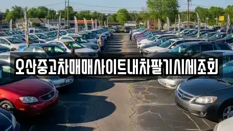 경기 오산시 두곡동 중고차매매 전문 오산중고차매매사이트내차팔기시세조회