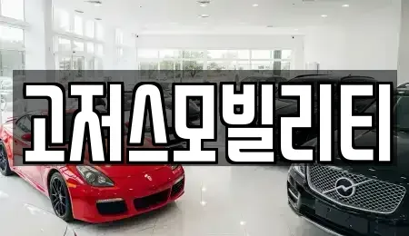 경기 오산시 세교동 렌트카 전문 고저스모빌리티