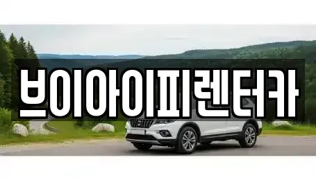 경기 오산시 세교동 렌트카 전문 브이아이피렌터카