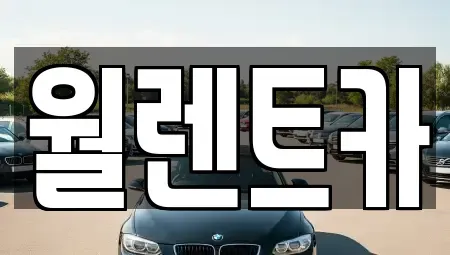 경기 오산시 세교동 렌트카 전문 월렌트카