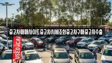 경기 오산시 세교동 중고차매매 전문 중고차매매사이트중고차시세조회중고차구매중고차수출