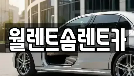 경기 오산시 은계동 렌트카 전문 월렌트솜렌트카