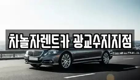 경기 용인시 수지구 성복동 단기렌트카 전문 차놀자렌트카 광교수지지점