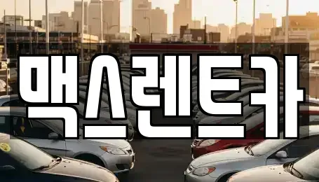 경기 용인시 수지구 성복동 렌트카 전문 맥스렌트카