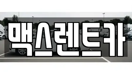경기 용인시 수지구 성복동 렌트카 전문 맥스렌트카