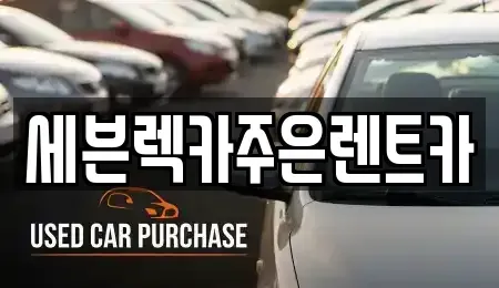 경기 용인시 수지구 성복동 렌트카 전문 세븐렉카주은렌트카