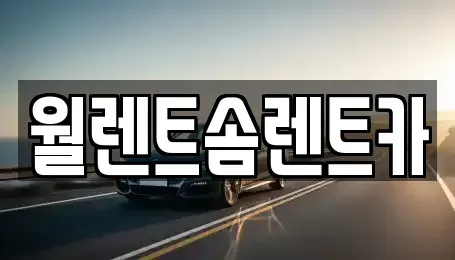 경기 용인시 수지구 성복동 렌트카 전문 월렌트솜렌트카