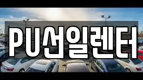 경기 용인시 수지구 성복동 장기렌트카 전문 PU선일렌터
