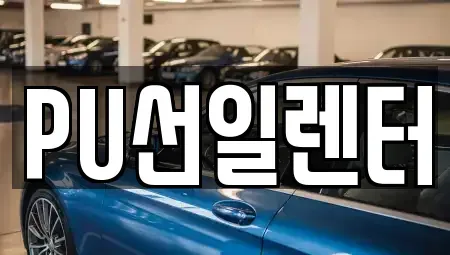 경기 용인시 수지구 성복동 장기렌트카 전문 PU선일렌터