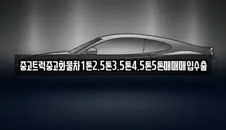 경기 용인시 수지구 성복동 중고차 전문 중고트럭중고화물차1톤2.5톤3.5톤4.5톤5톤매매매입수출