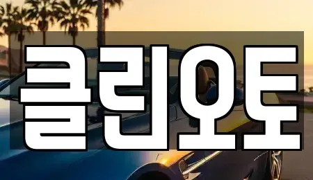 경기 용인시 수지구 성복동 중고차 전문 클린오토