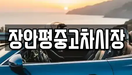 경기 용인시 수지구 성복동 중고차매매,단기렌트카,중고차매입,장기렌트카,중고차,렌트카