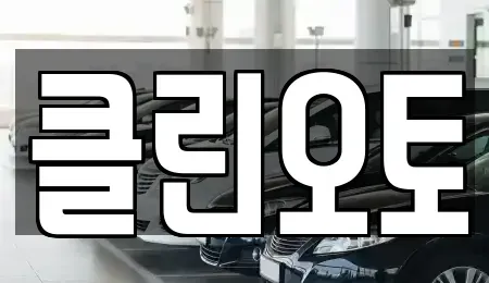 경기 용인시 수지구 성복동 중고차매매 전문 클린오토