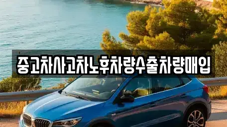경기 용인시 수지구 성복동 중고차매입 전문 중고차사고차노후차량수출차량매입