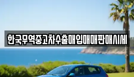 경기 용인시 수지구 성복동 중고차매입 전문 한국무역중고차수출매입매매판매시세