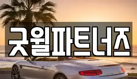 경기 용인시 수지구 죽전동 렌트카 전문 굿윌파트너즈
