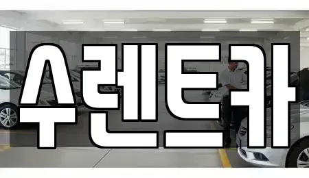 경기 용인시 수지구 죽전동 렌트카 전문 수렌트카