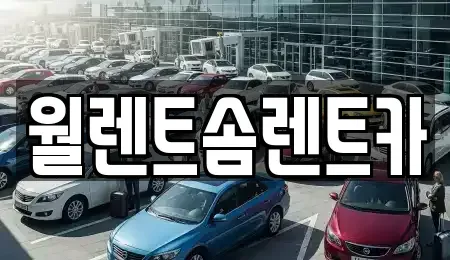 경기 용인시 수지구 죽전동 렌트카 전문 월렌트솜렌트카