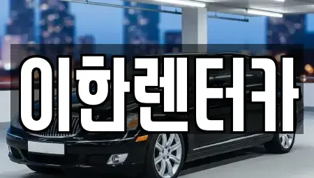 경기 용인시 수지구 죽전동 렌트카 전문 이한렌터카